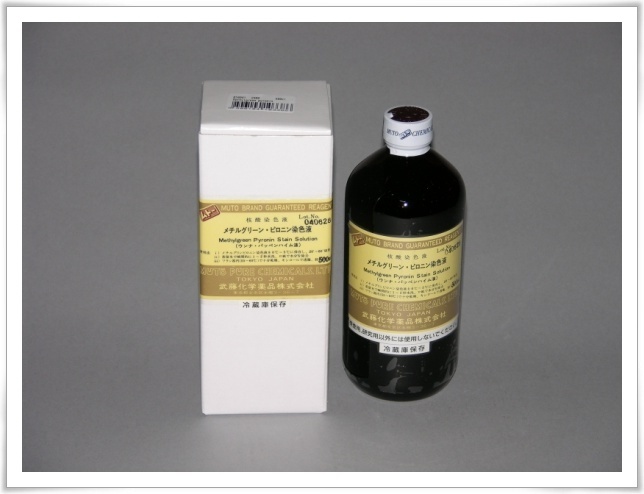 Methylgreen pyronin stain solution