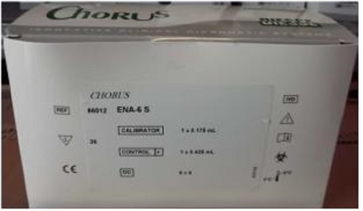 CHORUS ENA-6 S